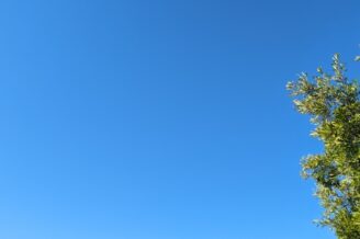 Blue sky with green tree branches filled with leaves on the right