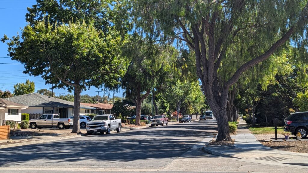 Tree lined suburban street with shade on sidewalks and street