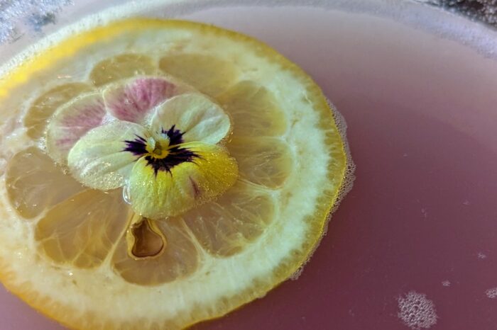 Close up of a lavendar colored cocktail with a a sugar rim and lemon floating on top with a little flower.